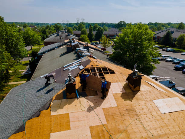 Best Storm Damage Roof Repair  in Hazleton, PA